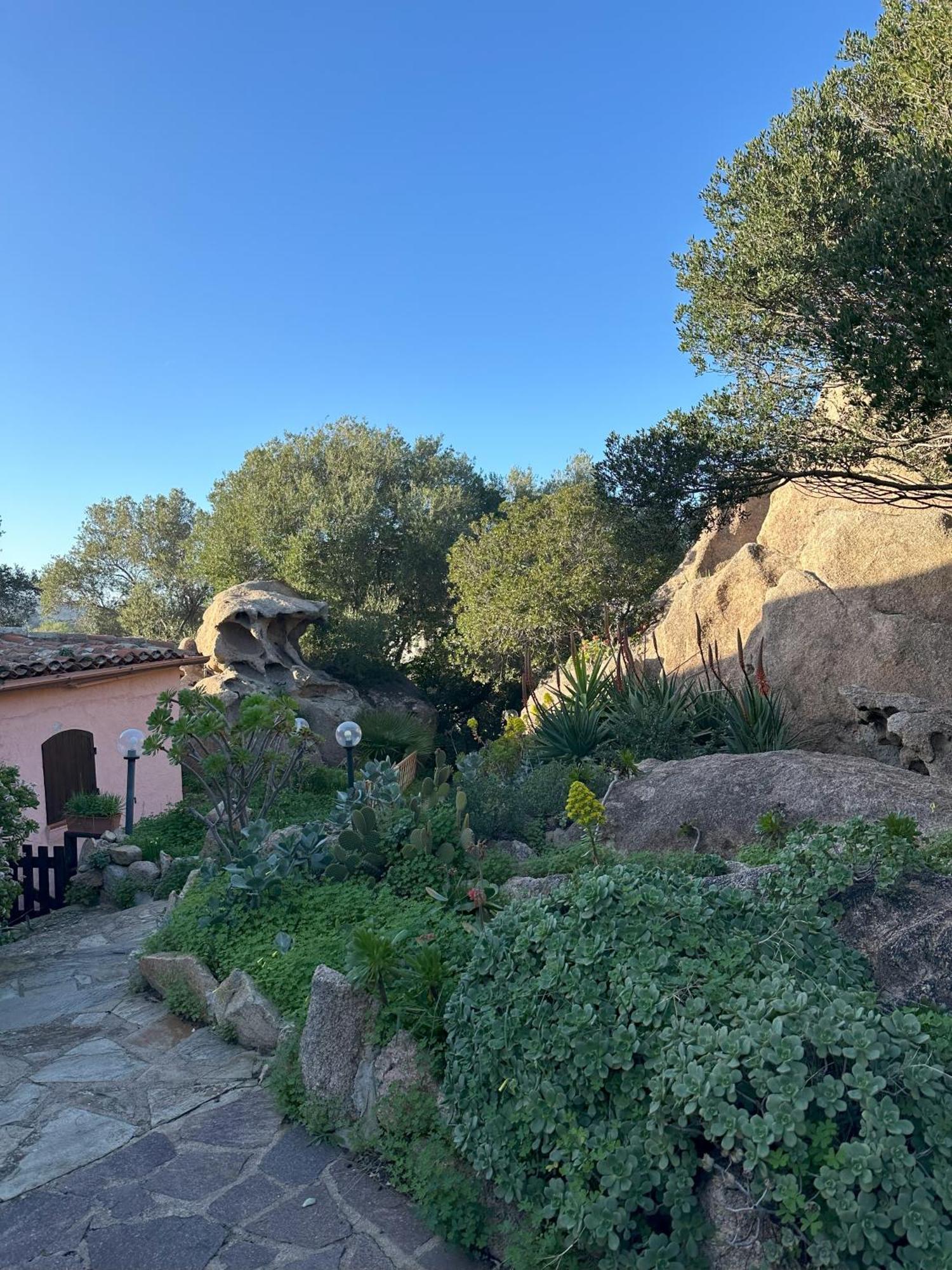 L'Olivastro Appartamenti A Porto Cervo Exteriör bild