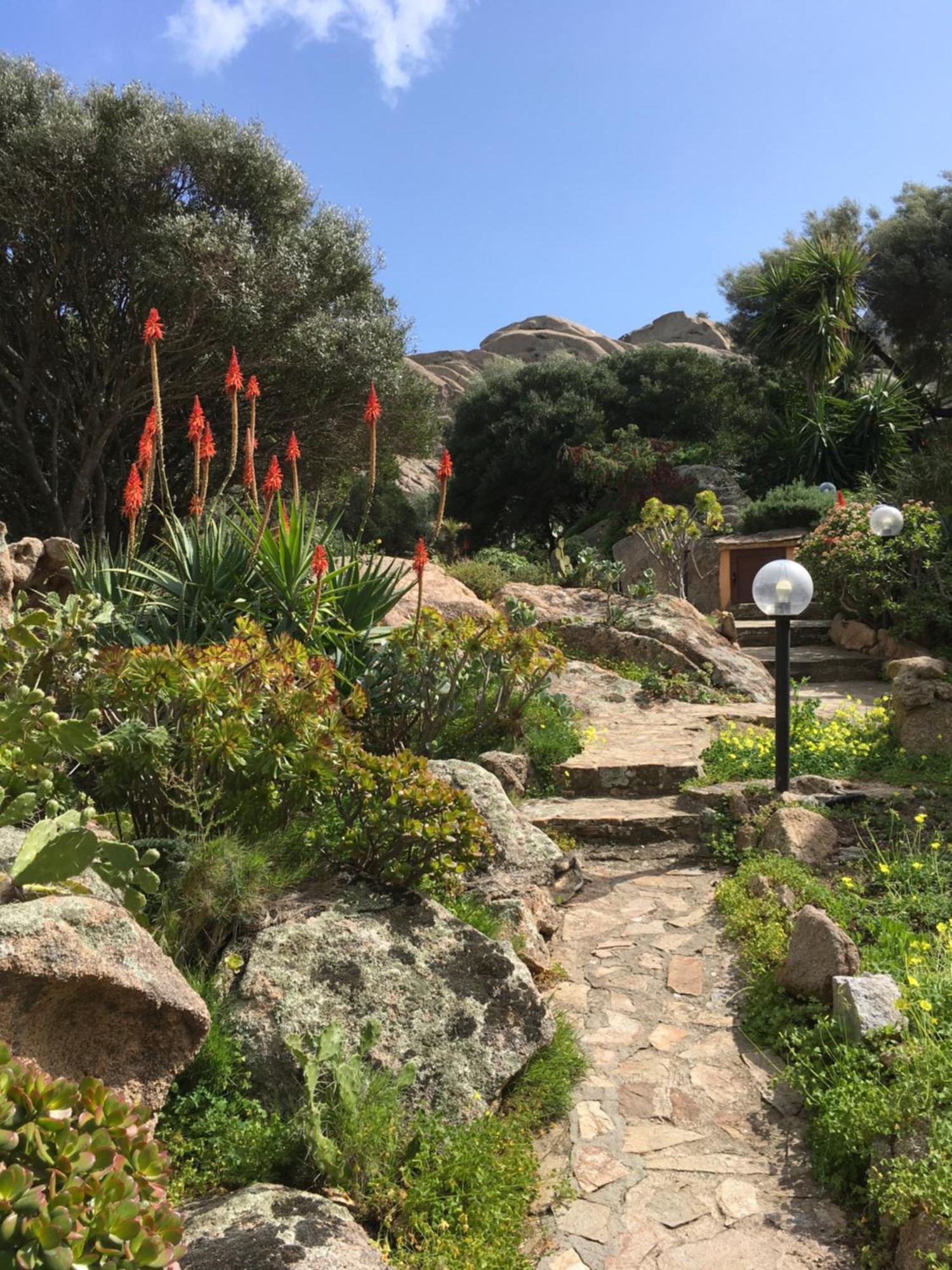 L'Olivastro Appartamenti A Porto Cervo Exteriör bild