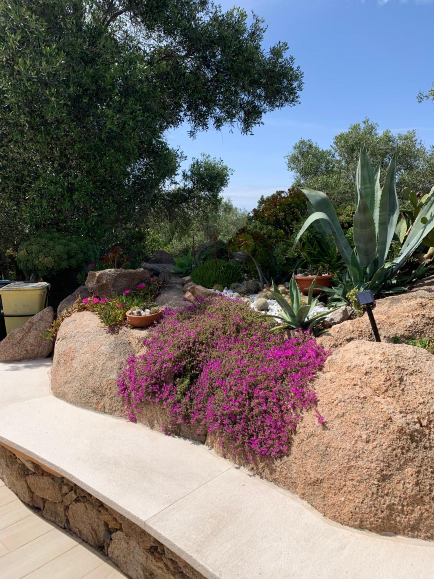 L'Olivastro Appartamenti A Porto Cervo Exteriör bild